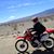 Donna Stephens's profile image