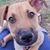 Susan Snider Salmon's profile image