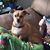Sarah Rowe Drew's profile image