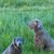 Lisa Strate Gatlin's profile image