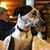 Sally Lubbehusen-Swanson's profile image