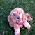 Sheilla Stevens's profile image
