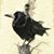 Diane King Wills Dyer's profile image