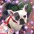 Olivia Bolivia's profile image