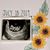 Trisha Koelzer Zinda's profile image