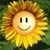 Belinda Gidley's profile image