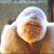 Hatta Marsoze's profile image