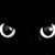 Tim Raffel's profile image