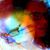 Brandi Rose-Schleder's profile image