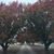 Teresa Sherman Landreth's profile image