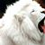 Barb Barb's profile image