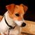 Kathy Krickhahn's profile image