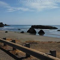 Dale Schwartz's profile image