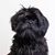 Peggie Ireland's profile image