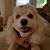 Annette Driver's profile image