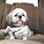 Rima Sellers Duhon's profile image