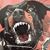 Richard Dumbrocyo Jr.'s profile image