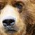 Teddy Boles's profile image