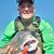 Steve Gray's profile image