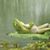 Azra Asaduddin's profile image