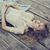 Nisreen Alrawas's profile image