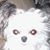 Kauline Brown's profile image