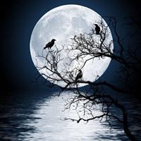 Laura Ann's profile image