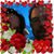 Jennifer Pederson's profile image