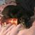 Jodi Nalley's profile image
