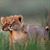 Kathy Todd's profile image