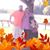 Kari Ann Price's profile image