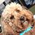 Doug Wing's profile image