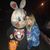 Cara Canelli's profile image