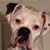 John Schultz's profile image