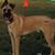 Corey M. Behanna's profile image