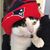 Judy Boguslawski Routhier's profile image