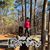 Lori Waldrop Esco's profile image
