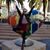 Devan Vacarelli's profile image