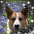 Beth Marshall's profile image