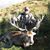 Dean Blackwell's profile image