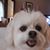 Billie Ferrone's profile image