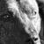 Luke Potts's profile image