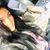 Tara Driskill's profile image