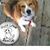 Terry Talisnik's profile image