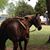 Debby Cave's profile image