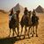 Debbie Moran's profile image