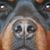 Casey Reed's profile image