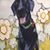 Arlis Gehrke Minetti's profile image