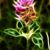Leona Byrd Phillips's profile image