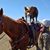 Marta Stoddart-Martin's profile image